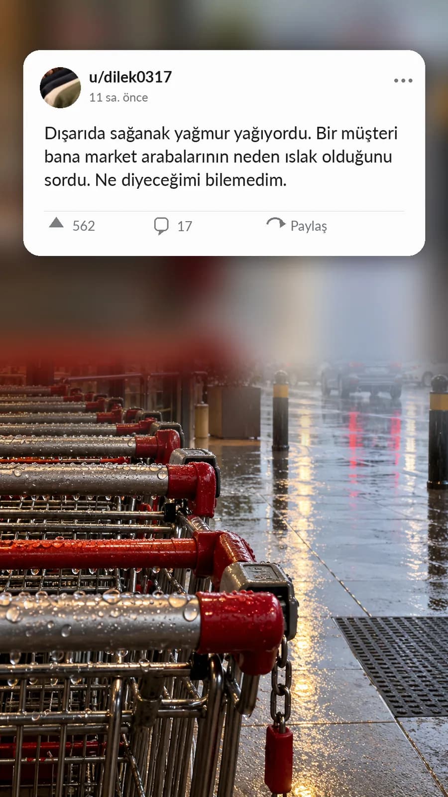 Yağmurlu Bir Günde Alışveriş Arabalarının Neden Islak Olduğunu Soran Müşteri