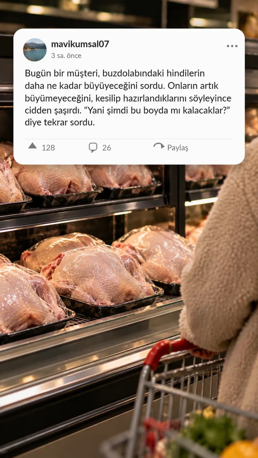 Buzdolabındaki Hindilerin Daha Ne Kadar Büyüyeceğini Soran Müşteri