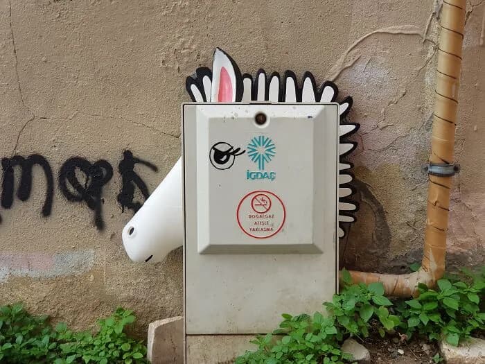 Balat'taki Gaz Kutusunu Zebra Yapmışlar