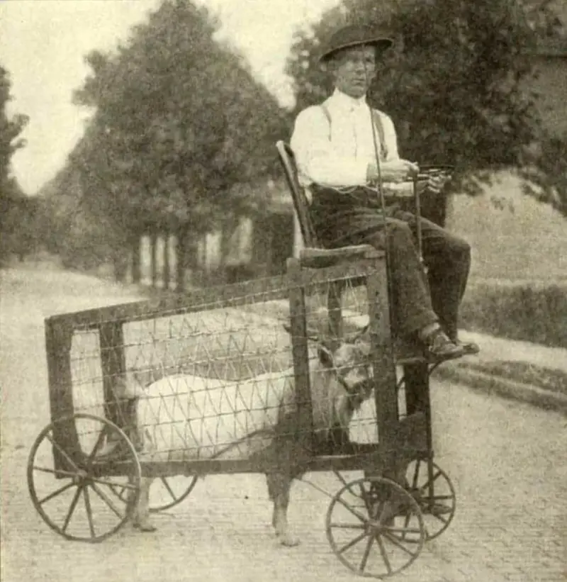 Geçmişe Bakışını Değiştirecek 12 Nadir Tarihi Fotoğraf
