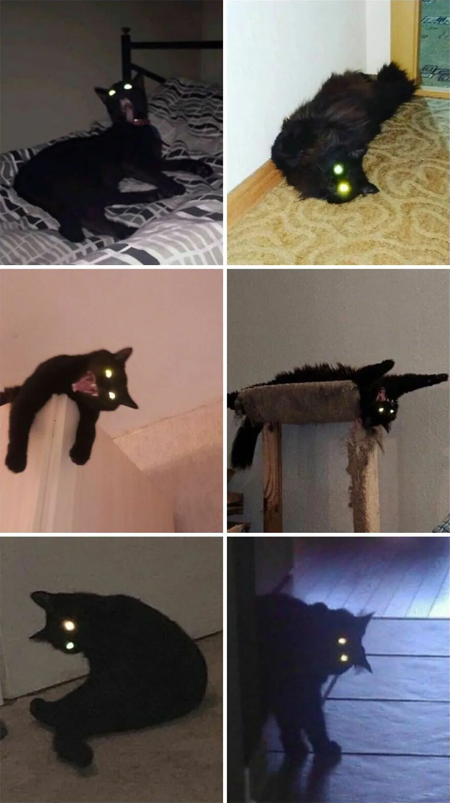 Gece Işığında Korku Filmine Benzeyen Gözler